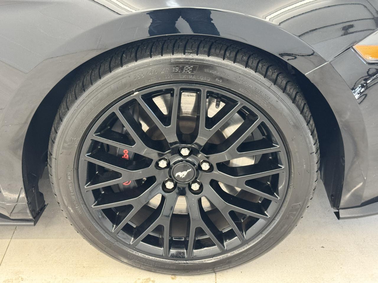 Ford Mustang GT Fastback 2019