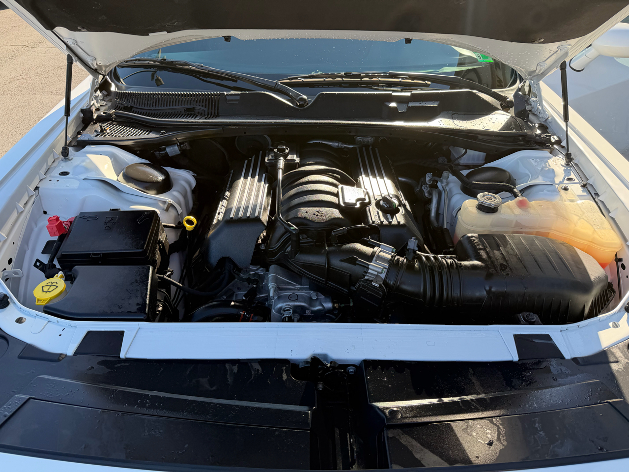 Dodge Challenger  2021