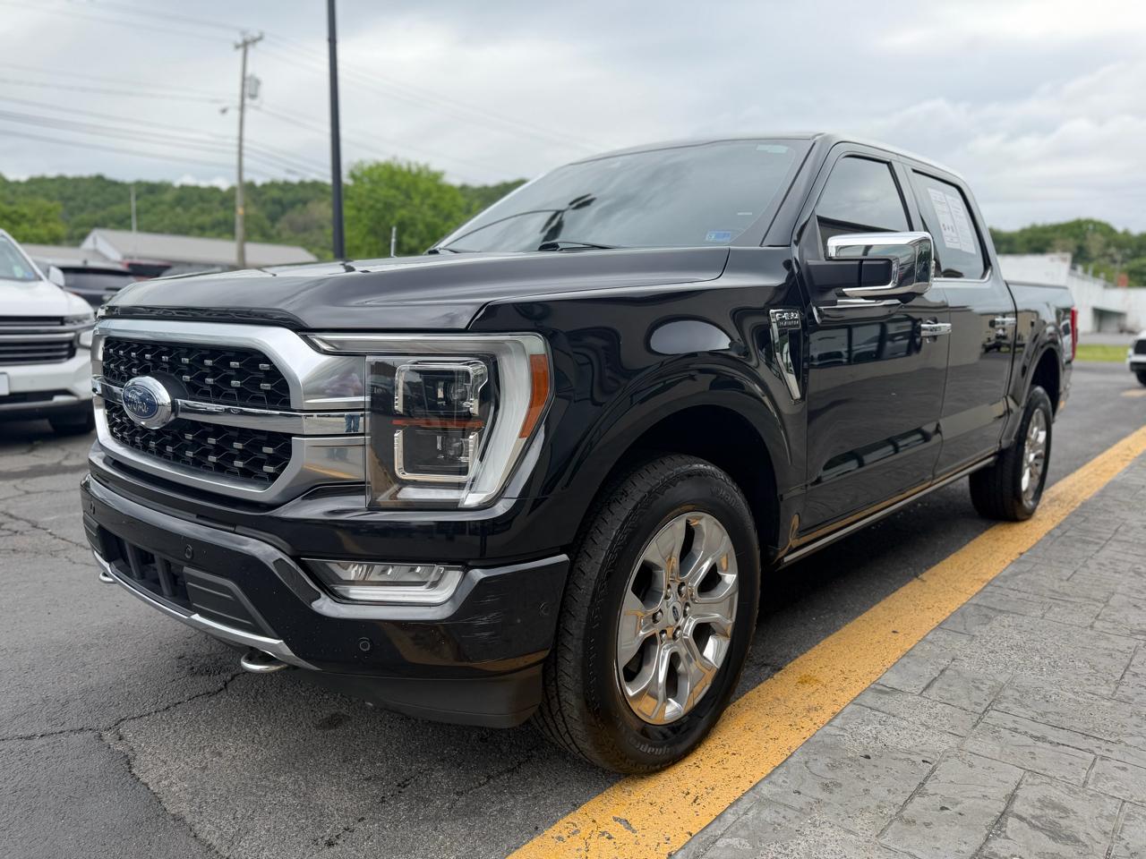 Ford F-150 4WD SuperCrew 145" Platinum 2022