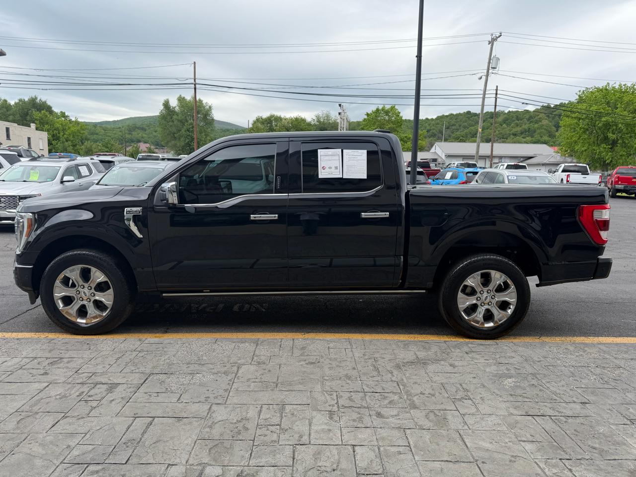 Ford F-150 4WD SuperCrew 145" Platinum 2022