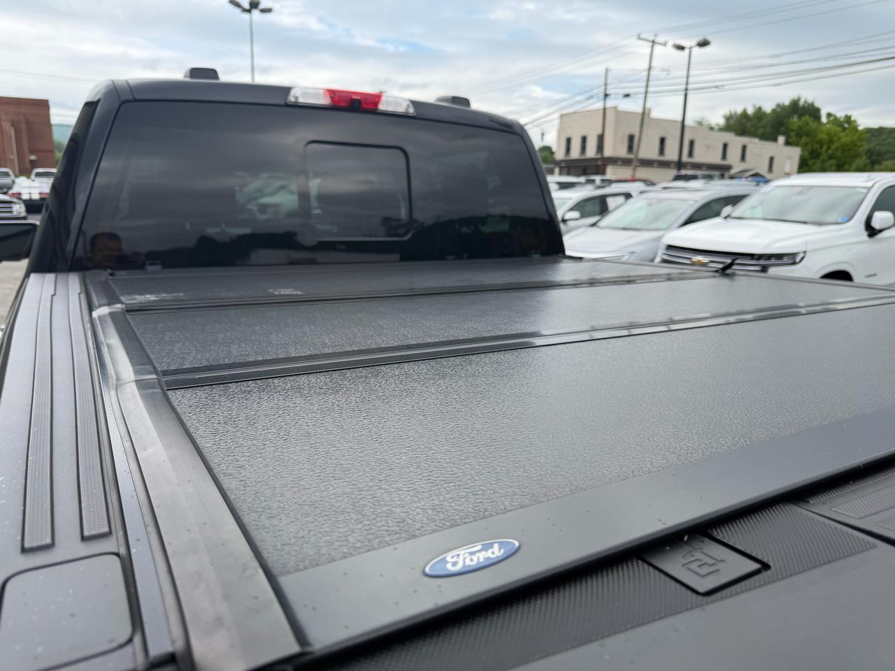Ford F-150 4WD SuperCrew 145" Platinum 2022