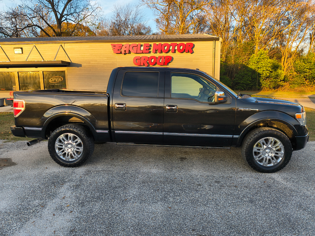 2013 Ford F-150 4WD SuperCrew 145" Platinum
