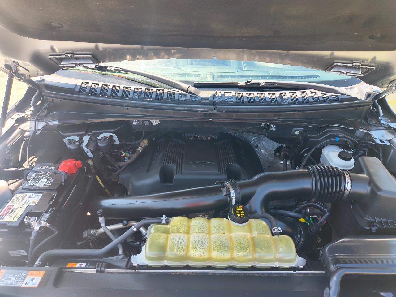Ford Expedition XLT 4x4 2020