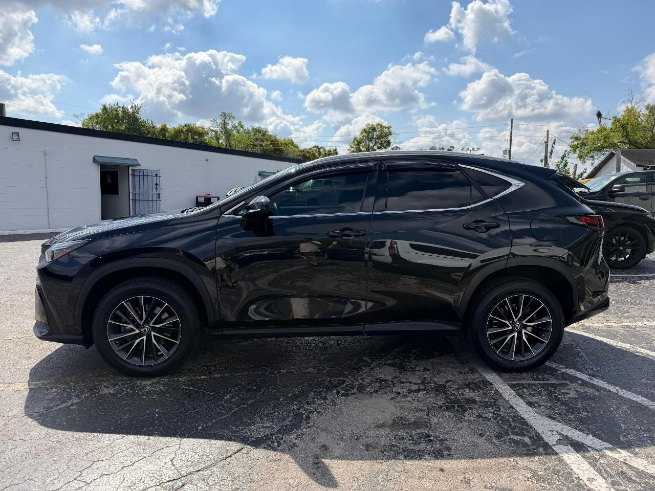 Lexus NX 350 Premium 2023