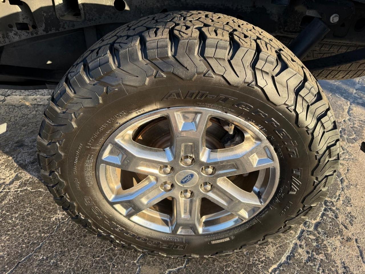 Ford F-150 XLT SuperCrew 6.5-ft. Bed 4WD 2022
