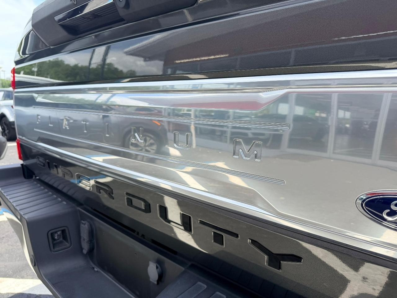 Ford F-250 SD Platinum Crew Cab 4WD 2019