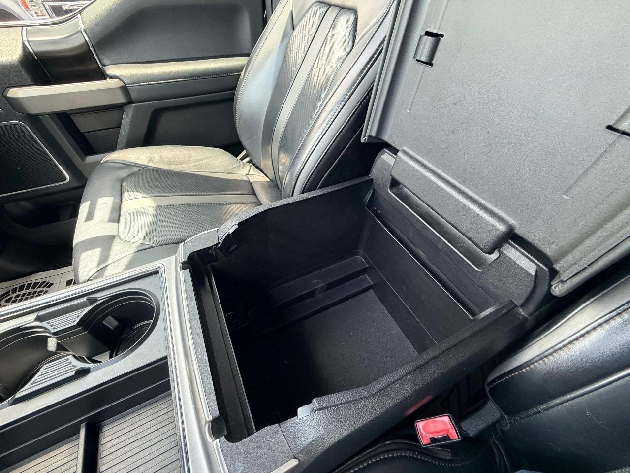Ford F-250 SD Platinum Crew Cab 4WD 2019