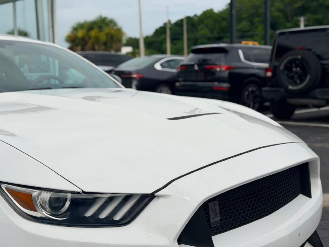 Ford Shelby GT350 Base 2016