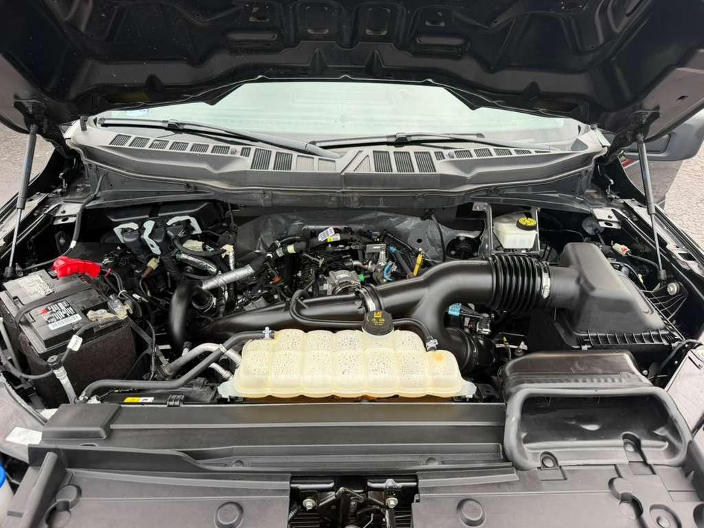 Ford F-150 XL SuperCrew 5.5-ft. Bed 2WD 2023
