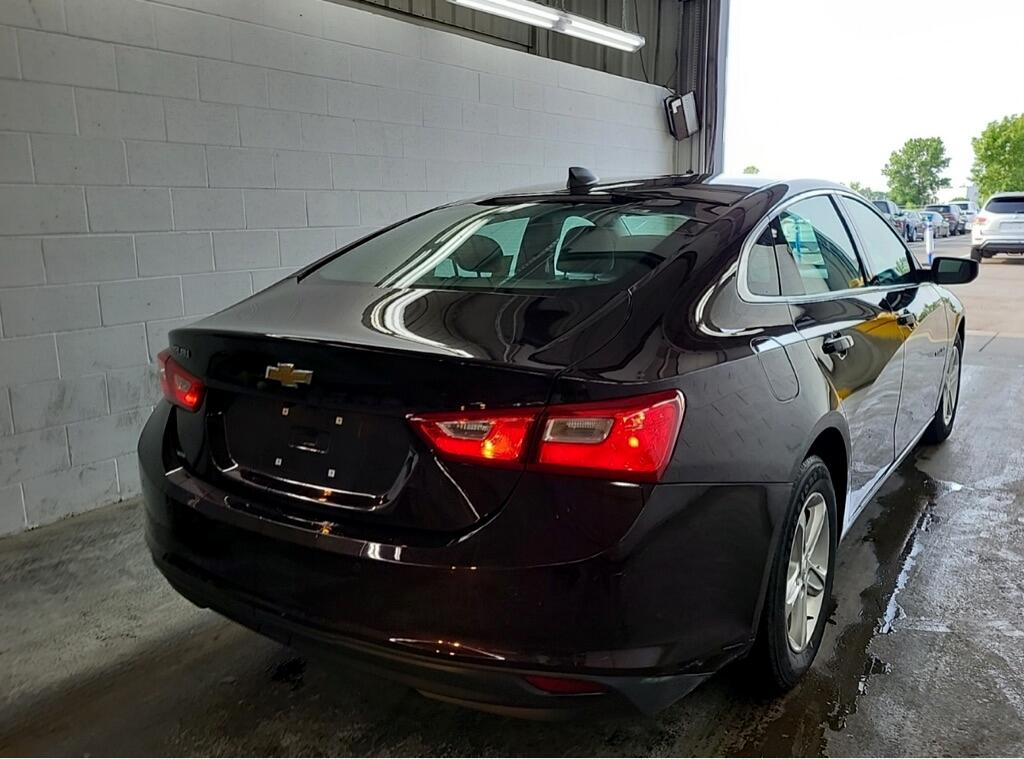 Chevrolet Malibu 1FL 2020 Chevrolet Malibu 1FL 2020