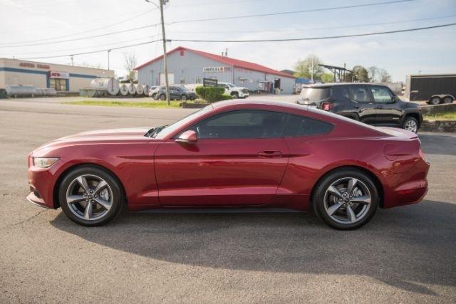 Ford Mustang  2015
