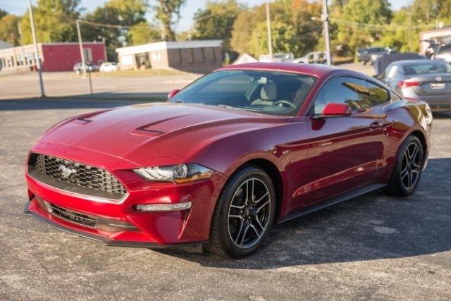 Ford Mustang  2019