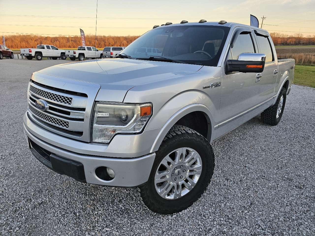 Ford F-150 Platinum SuperCrew 5.5-ft. Bed 4WD 2014