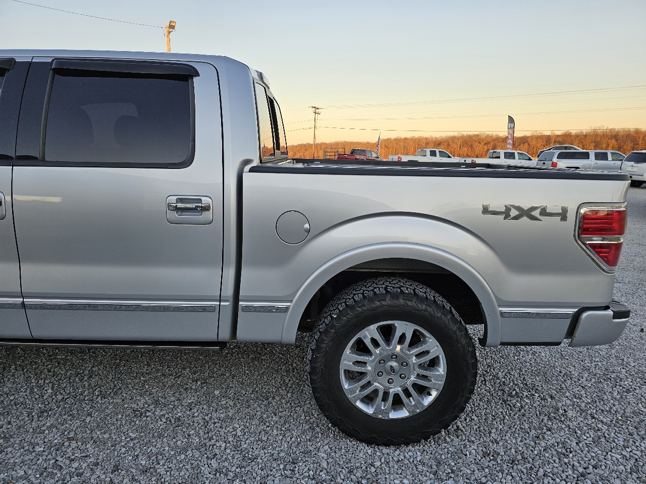 Ford F-150 Platinum SuperCrew 5.5-ft. Bed 4WD 2014