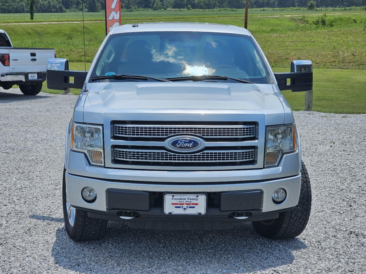 Ford F-150 Platinum SuperCrew 6.5-ft. Bed 4WD 2010