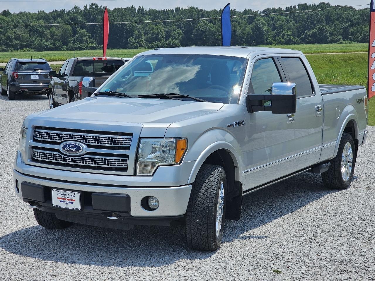 Ford F-150 Platinum SuperCrew 6.5-ft. Bed 4WD 2010