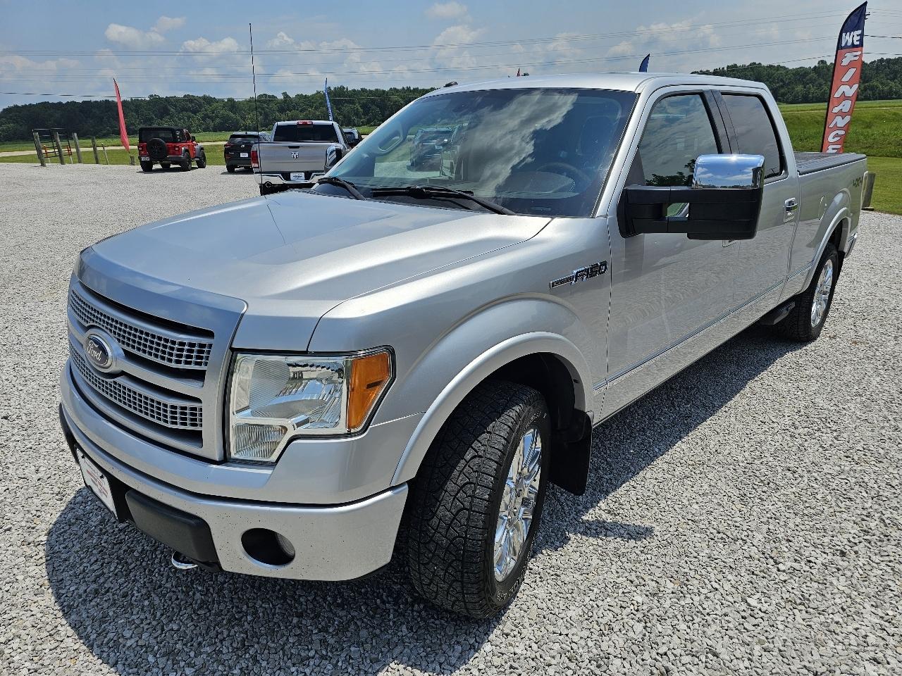 Ford F-150 Platinum SuperCrew 6.5-ft. Bed 4WD 2010