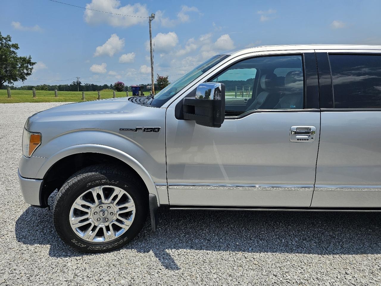 Ford F-150 Platinum SuperCrew 6.5-ft. Bed 4WD 2010