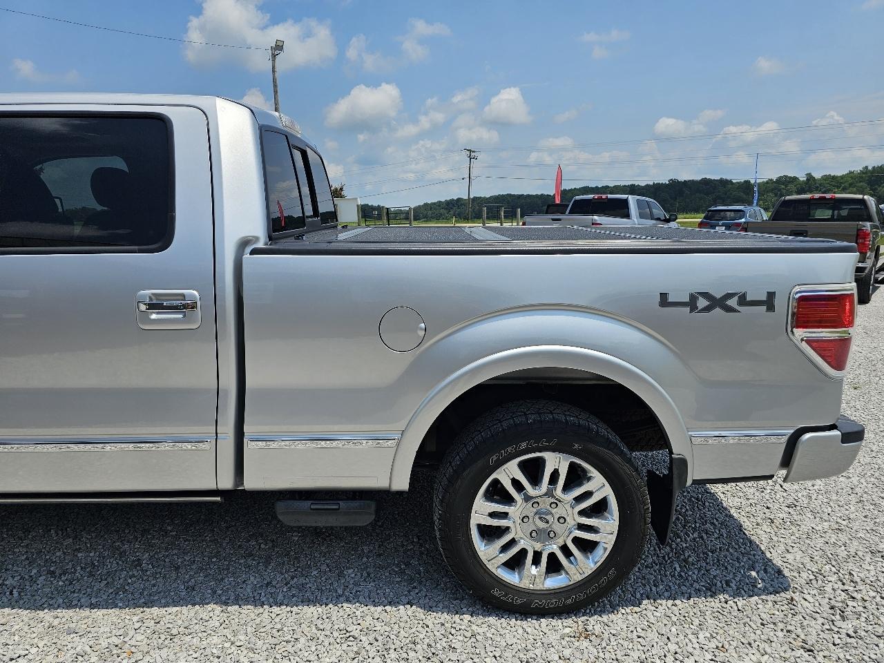 Ford F-150 Platinum SuperCrew 6.5-ft. Bed 4WD 2010