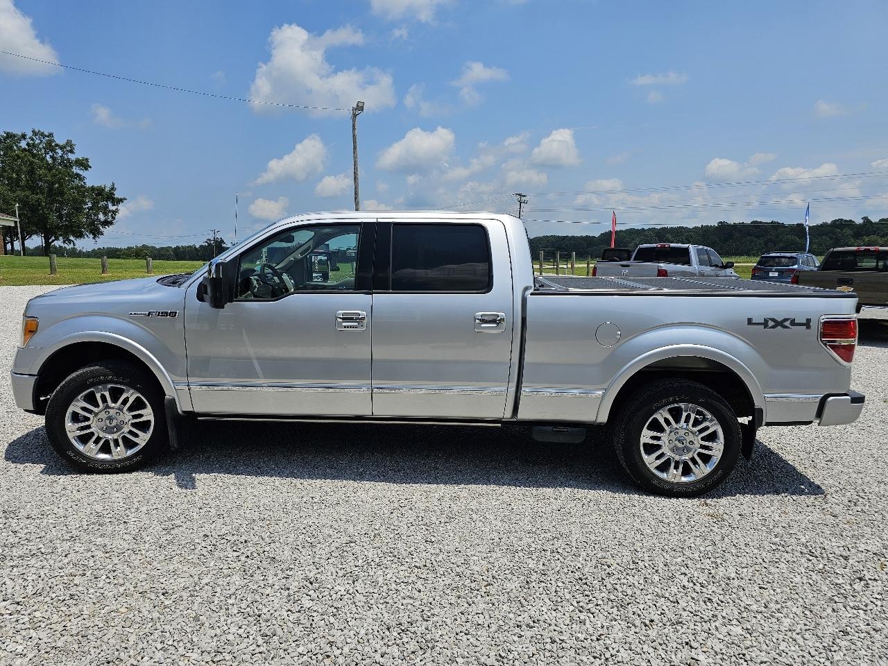 Ford F-150 Platinum SuperCrew 6.5-ft. Bed 4WD 2010