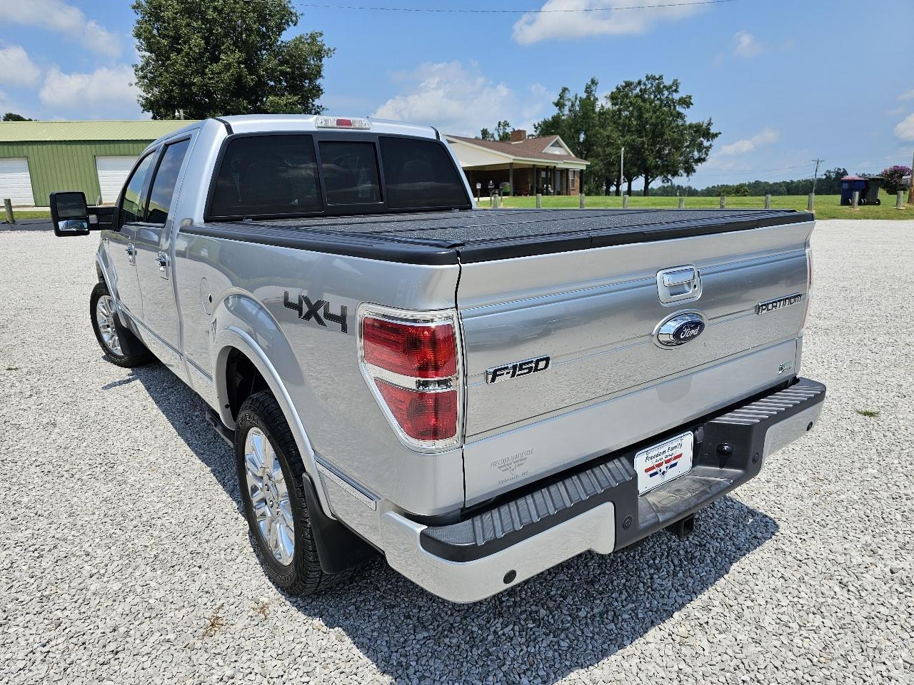 Ford F-150 Platinum SuperCrew 6.5-ft. Bed 4WD 2010