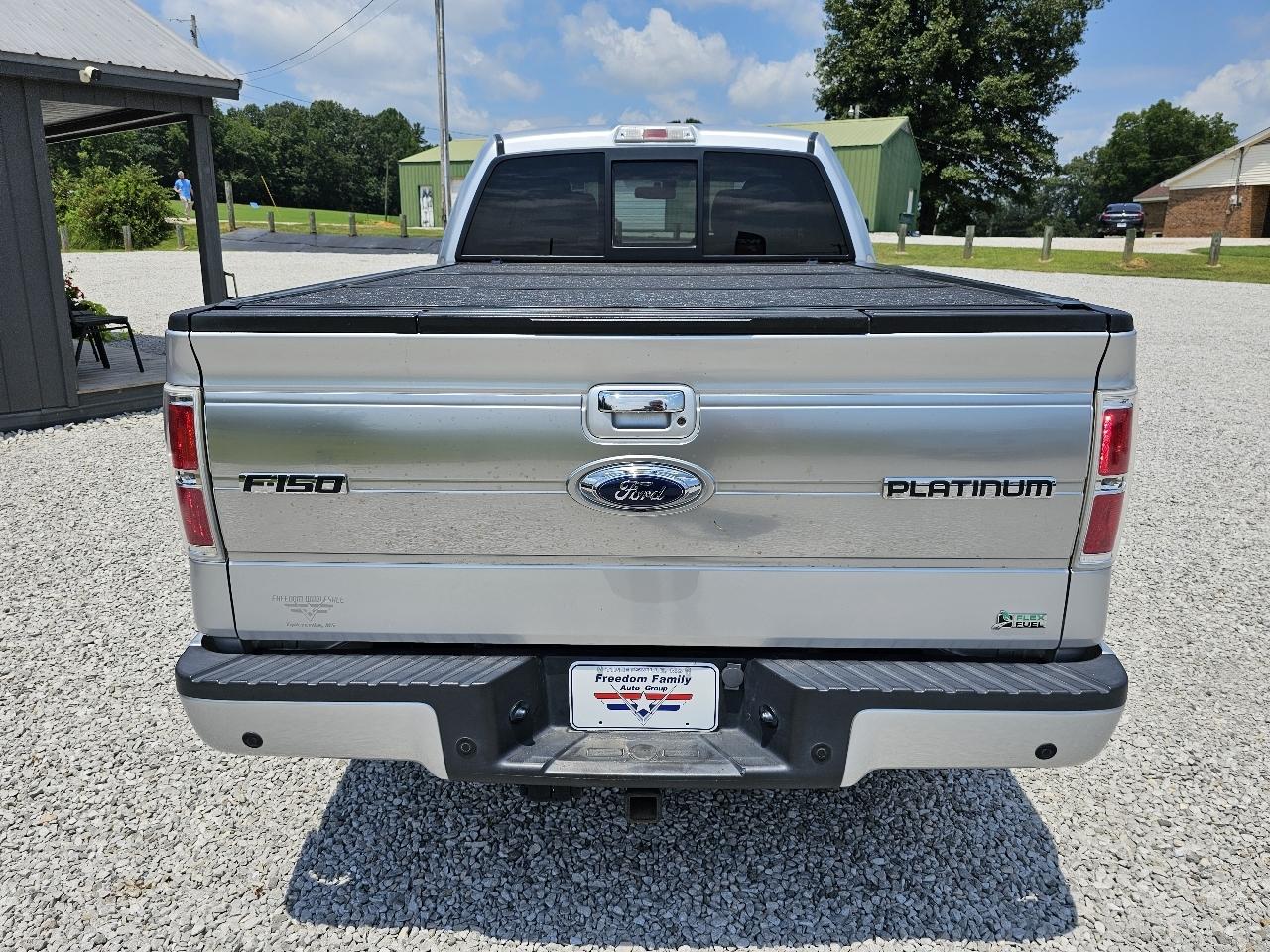 Ford F-150 Platinum SuperCrew 6.5-ft. Bed 4WD 2010