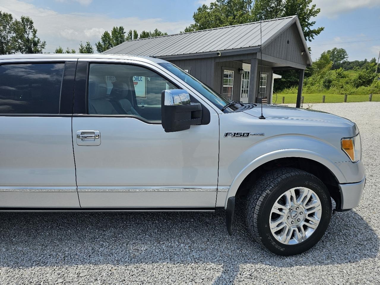 Ford F-150 Platinum SuperCrew 6.5-ft. Bed 4WD 2010