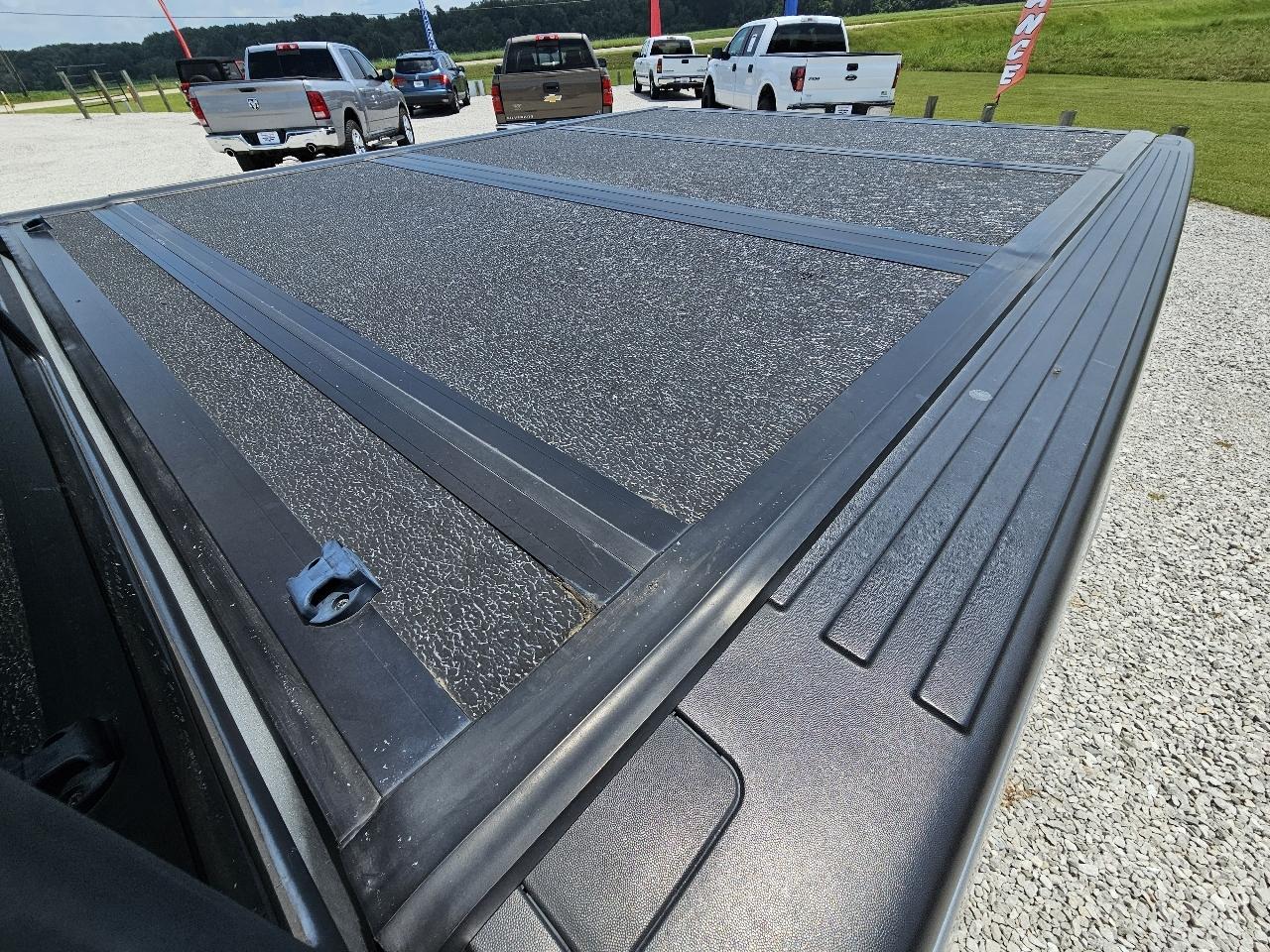 Ford F-150 Platinum SuperCrew 6.5-ft. Bed 4WD 2010