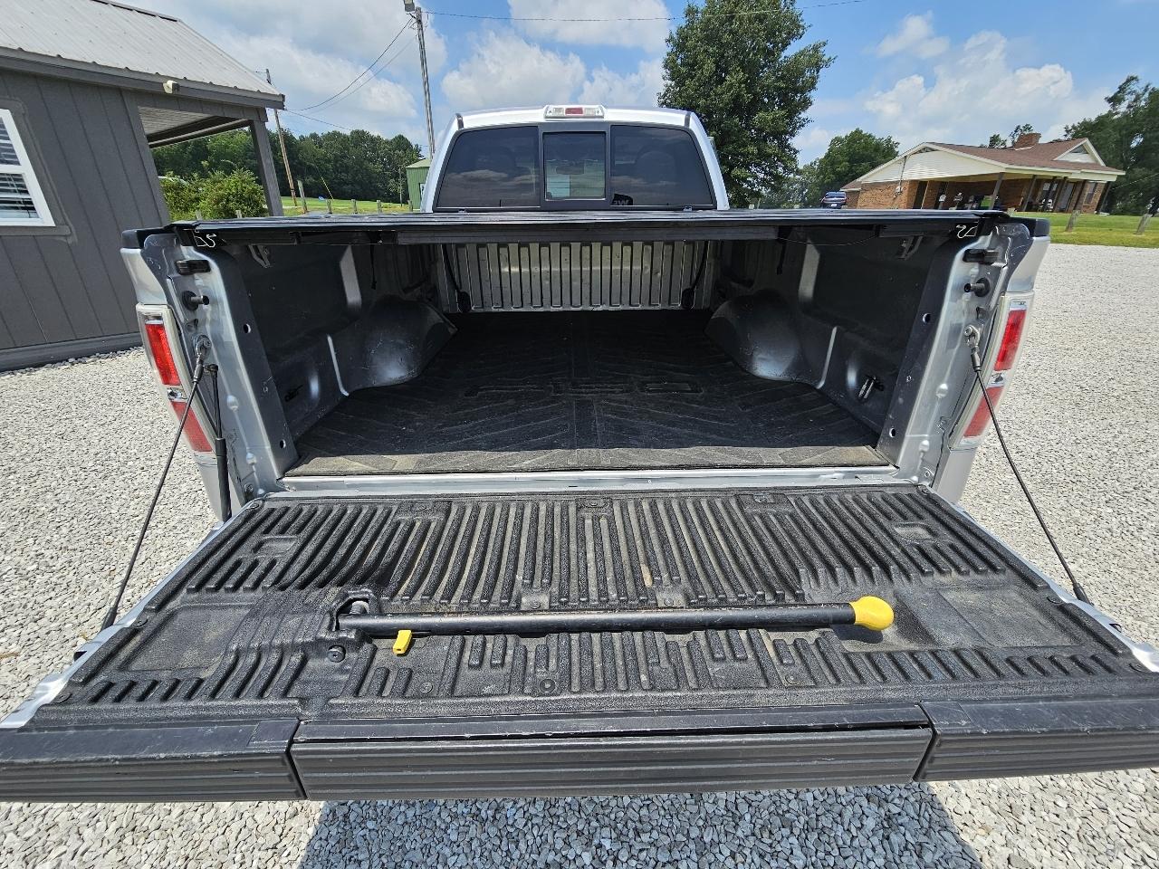 Ford F-150 Platinum SuperCrew 6.5-ft. Bed 4WD 2010
