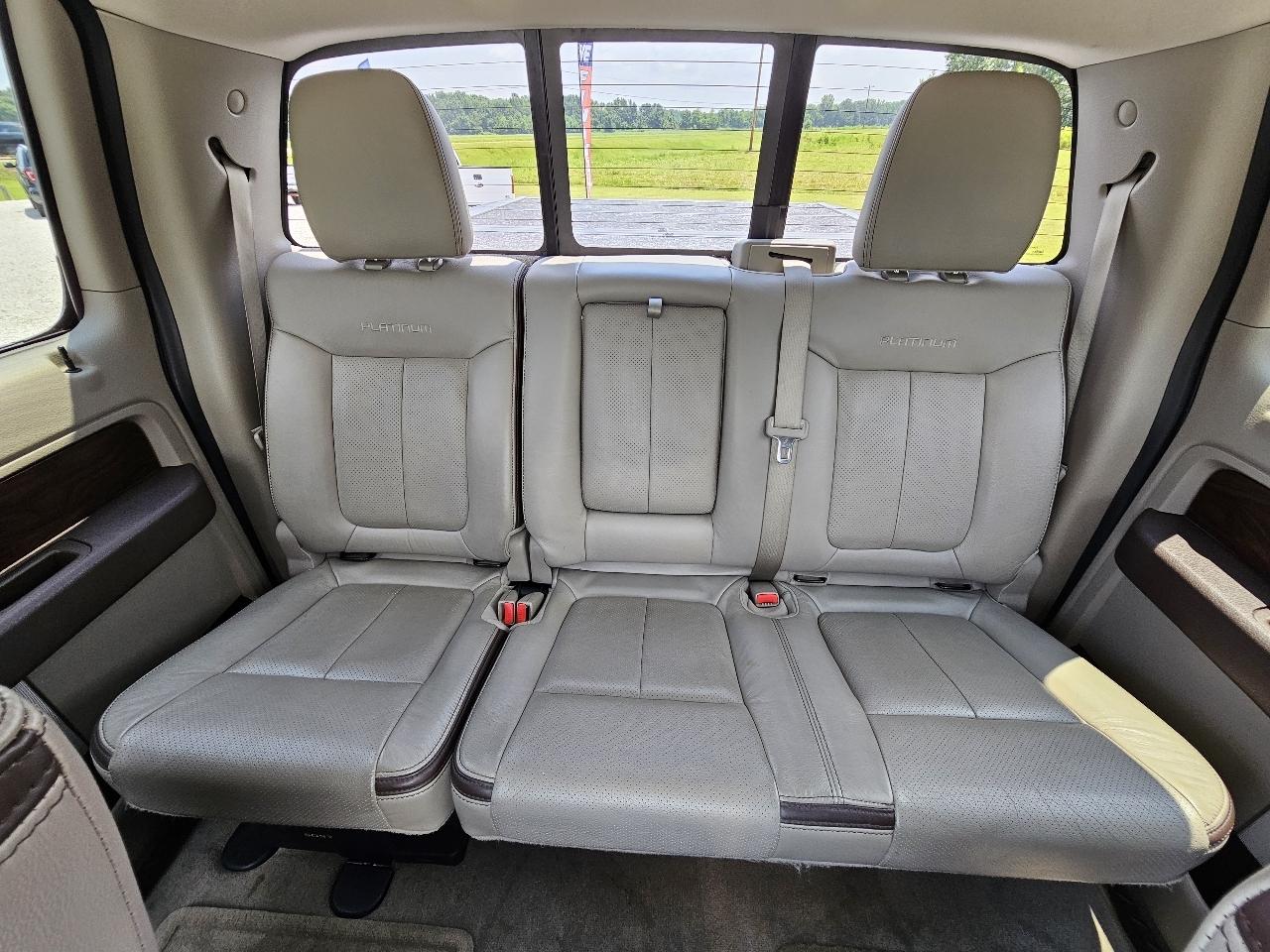 Ford F-150 Platinum SuperCrew 6.5-ft. Bed 4WD 2010