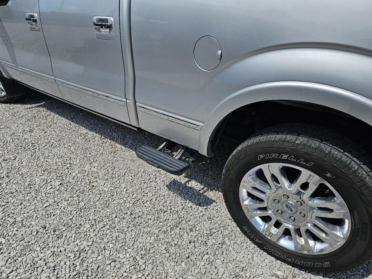 Ford F-150 Platinum SuperCrew 6.5-ft. Bed 4WD 2010