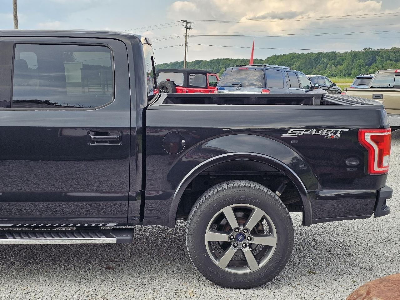 Ford F-150 XLT SuperCrew 5.5-ft. Bed 4WD 2015