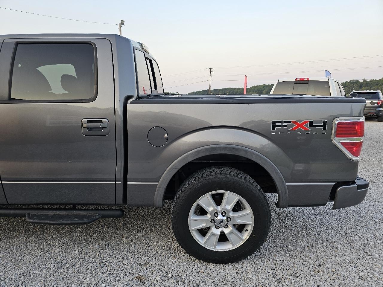 Ford F-150 FX4 SuperCrew 5.5-ft. Bed 4WD 2010