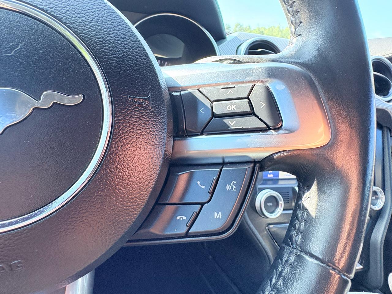 Ford Mustang GT Premium Coupe 2019