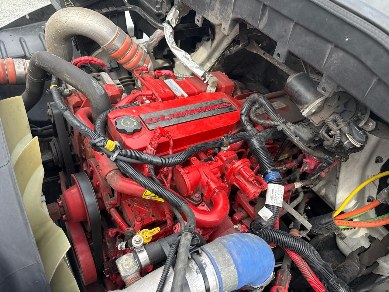 International 4300  2019