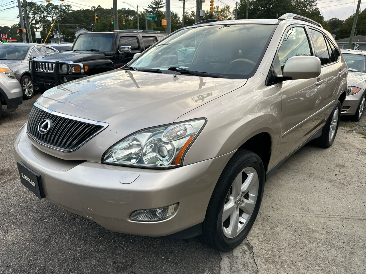 2004 Lexus RX