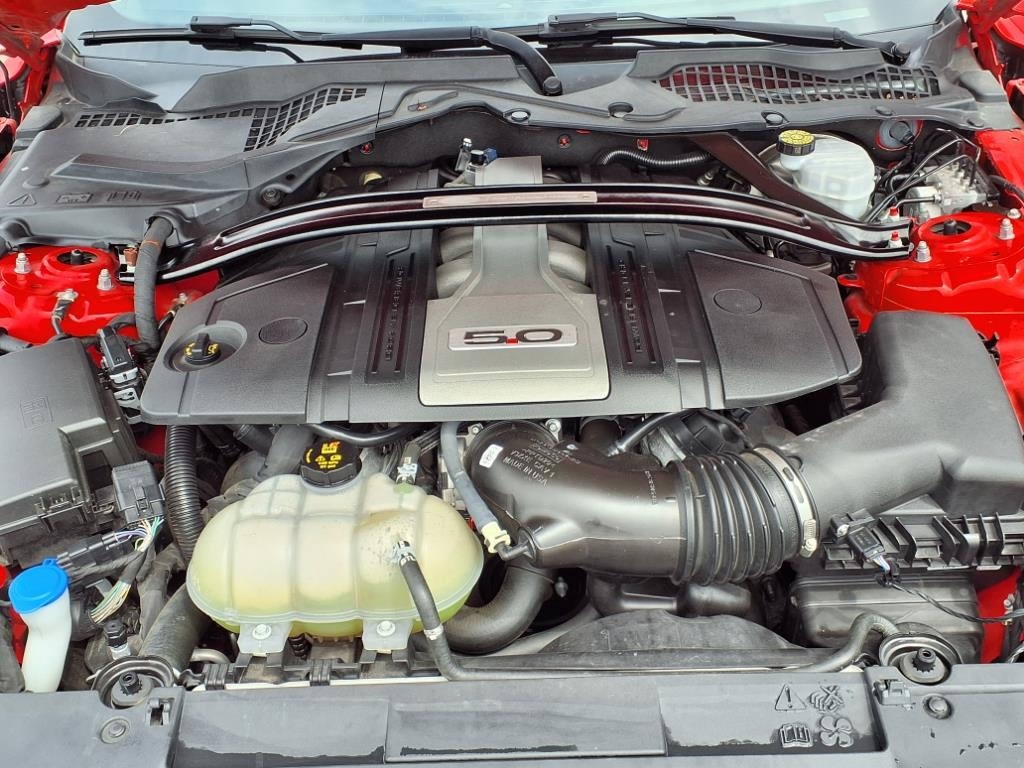 Ford Mustang GT Fastback 2020