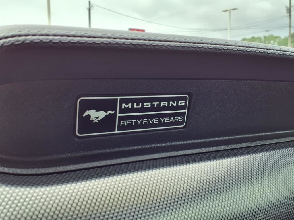 Ford Mustang GT Fastback 2020