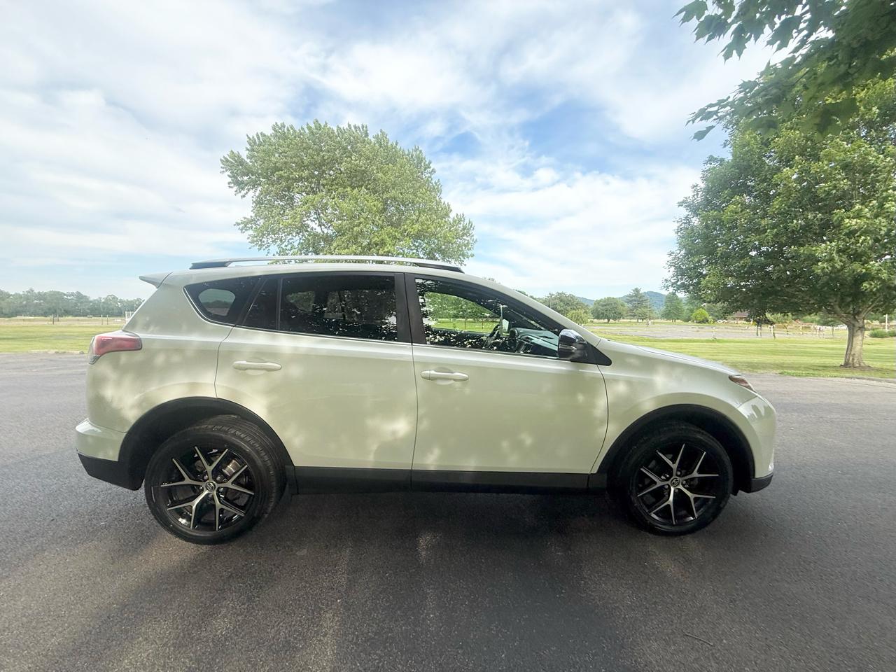 Toyota RAV4 SE AWD (Natl) 2016