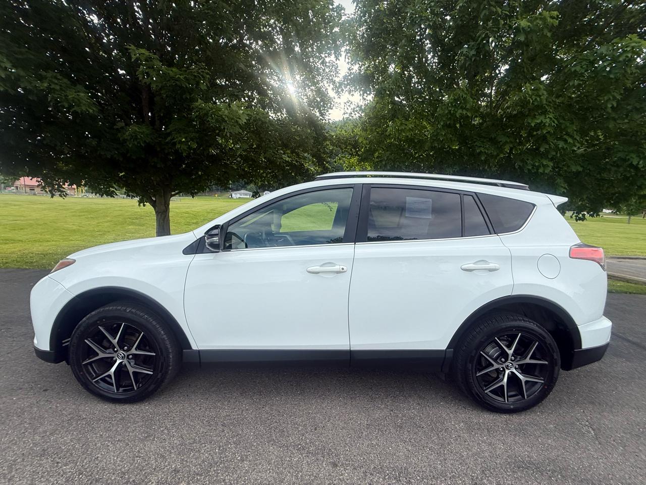 Toyota RAV4 SE AWD (Natl) 2016