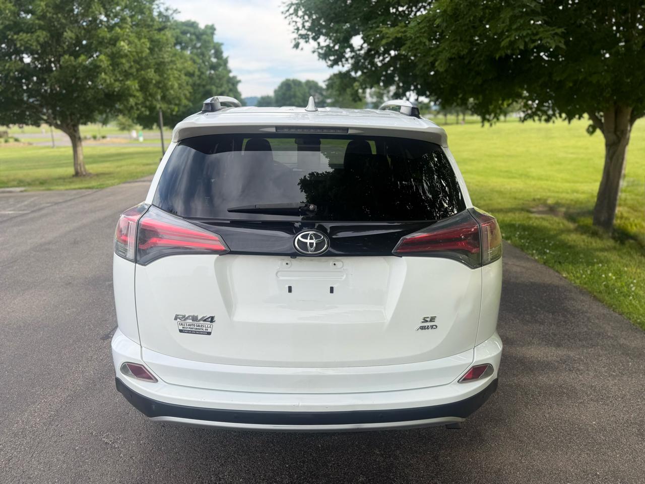 Toyota RAV4 SE AWD (Natl) 2016