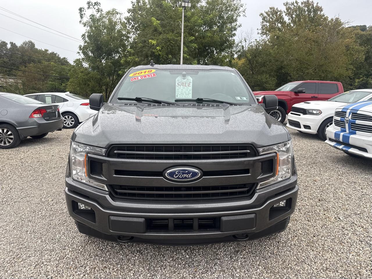 Ford F-150 4WD SuperCrew 139" XLT 2019