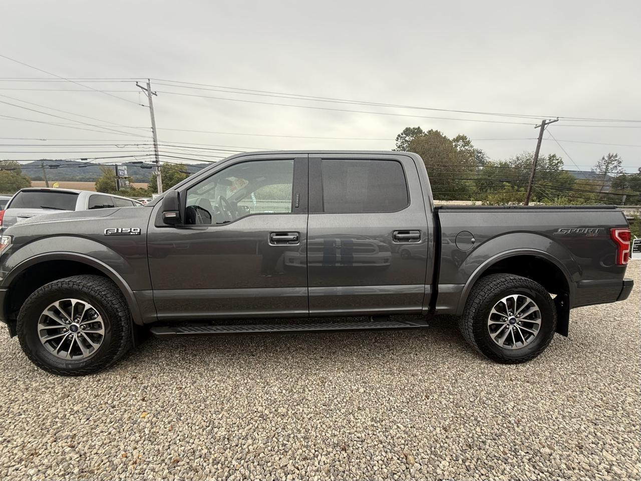 Ford F-150 4WD SuperCrew 139" XLT 2019