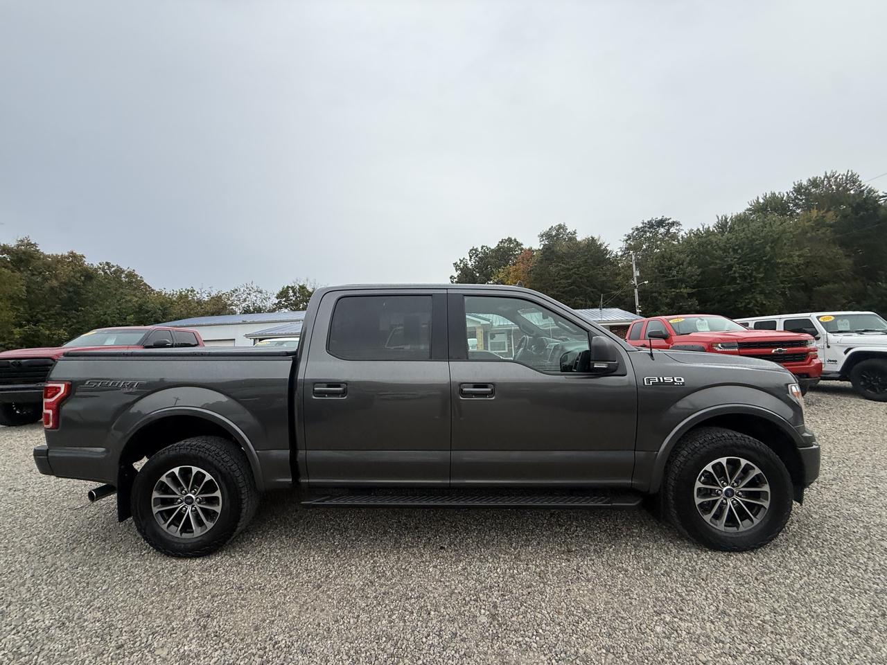 Ford F-150 4WD SuperCrew 139" XLT 2019