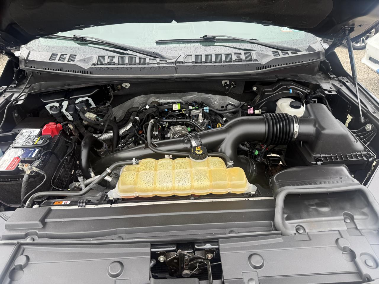 Ford F-150 4WD SuperCrew 139" XLT 2019
