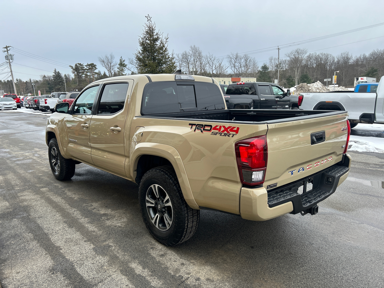 Toyota Tacoma 4WD TRD Sport Double Cab 5' Bed MT (Natl) 2019