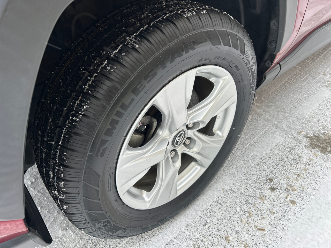 Toyota RAV4 XLE AWD (Natl) 2019