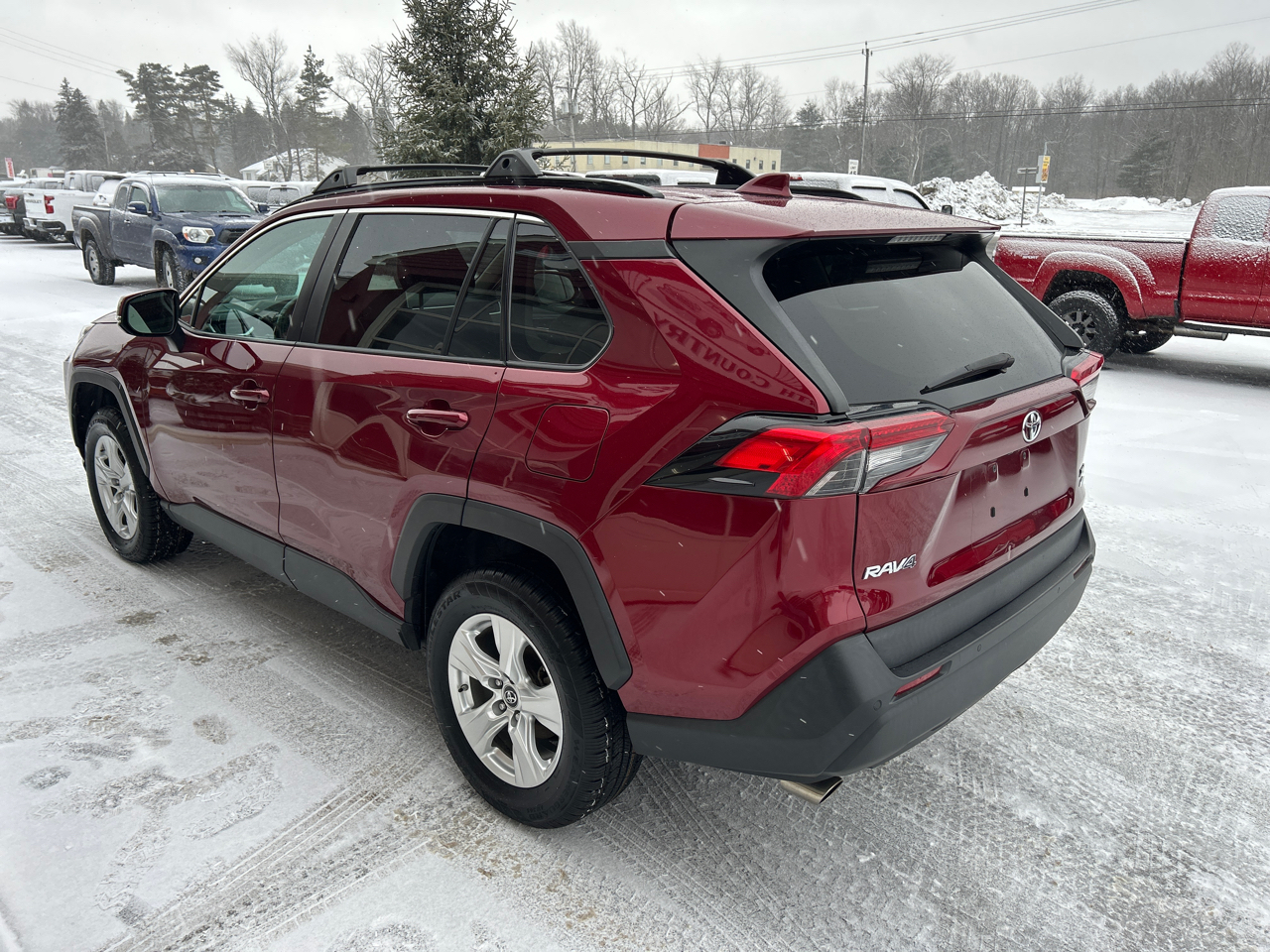 Toyota RAV4 XLE AWD (Natl) 2019