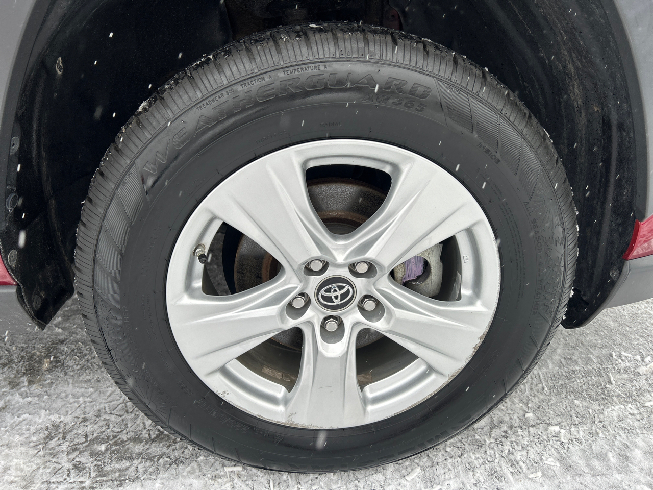 Toyota RAV4 XLE AWD (Natl) 2019