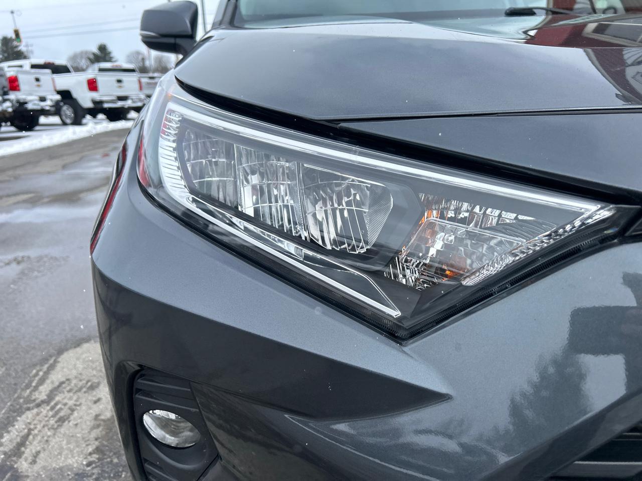 Toyota RAV4 XLE AWD (Natl) 2019
